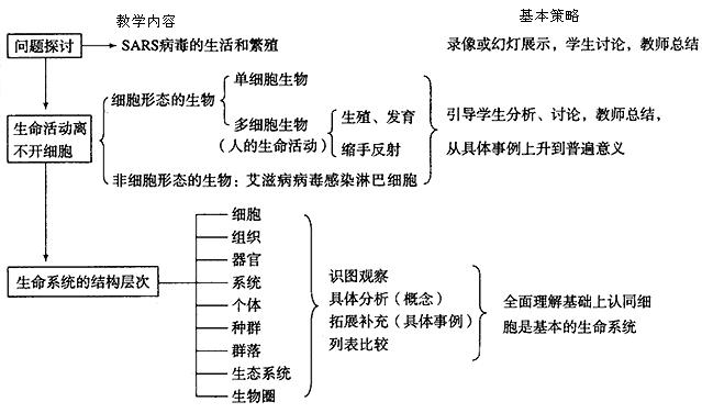 初一生物教案下载_人教版初一生物教案_凤凰版初一生物教案