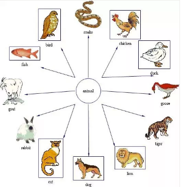 如何做出自己的单词思维导图