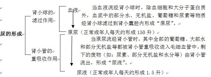 初中作文教案 初中作文教案_教案如何写教案模板_初中生物教案怎么写