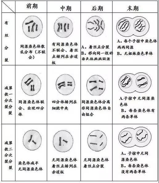2020年高中会考专题—生物篇