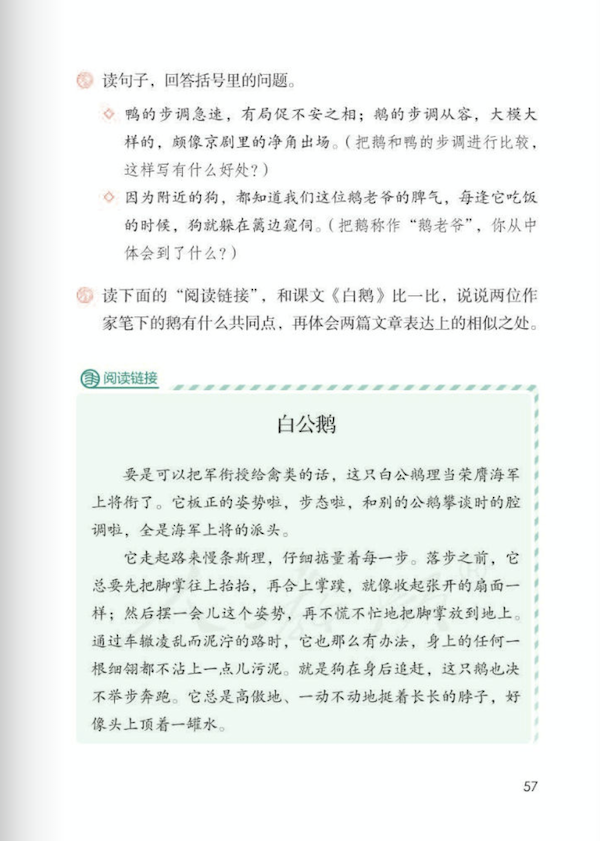 小学四年级课文《白鹅》原文部编版五四学制(2)