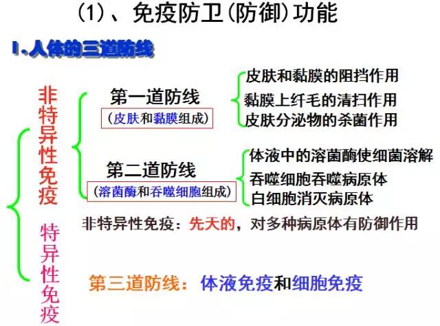 高考生物高中生物:免疫调节知识点总结