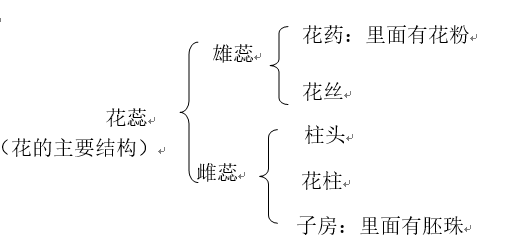 初中七下科学第一单元植物的一生 知识整理