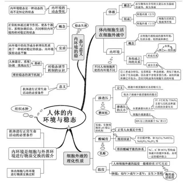 高中生物复习预习知识点思维导图 人的内环境与稳态