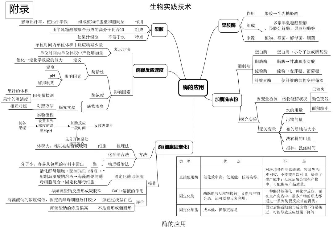 高中生物思维导图—生物实践技术