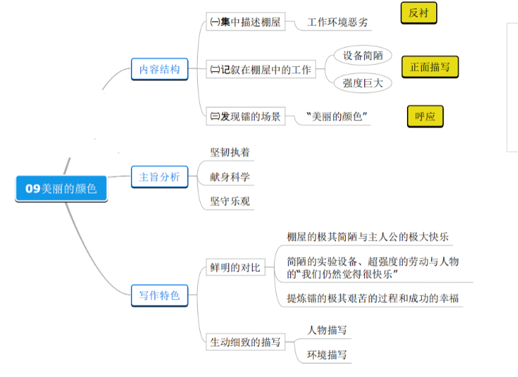 美丽的颜色思维导图