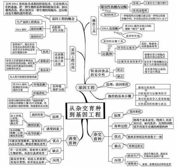 生物从杂交育种到基因工程知识点思维导图