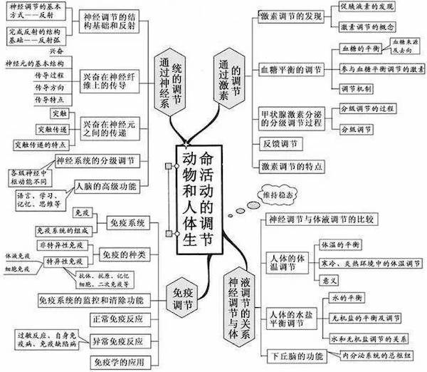 动物和人体生命活动的调节知识点思维导图