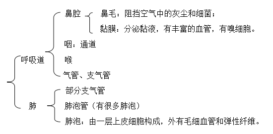 浙教版初中生物重点知识点人体的物质和能量