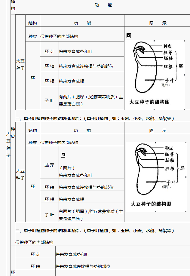 初中生物知识点双子叶植物种子的结构和功能