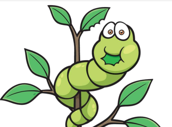 2019年小学升初中作文指导:状物作文