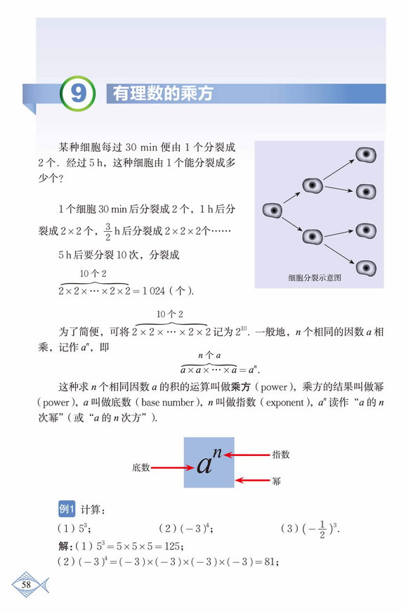 深圳七年级数学上册有理数的乘方