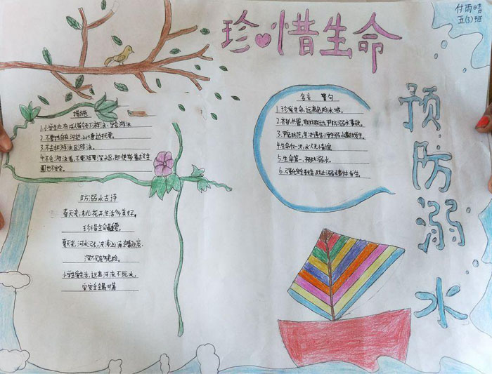 北京小学关于生命的手抄报