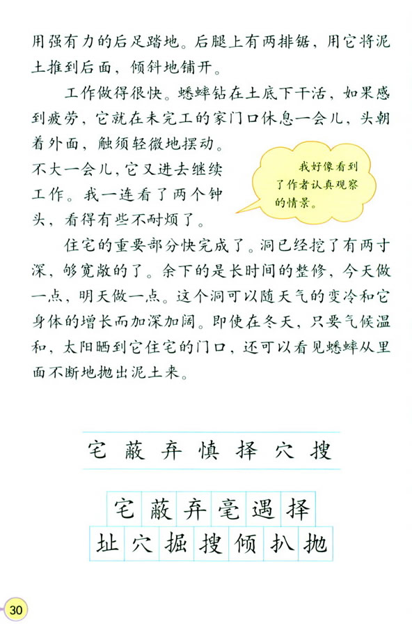 深圳四年级上册语文蟋蟀的住宅课文
