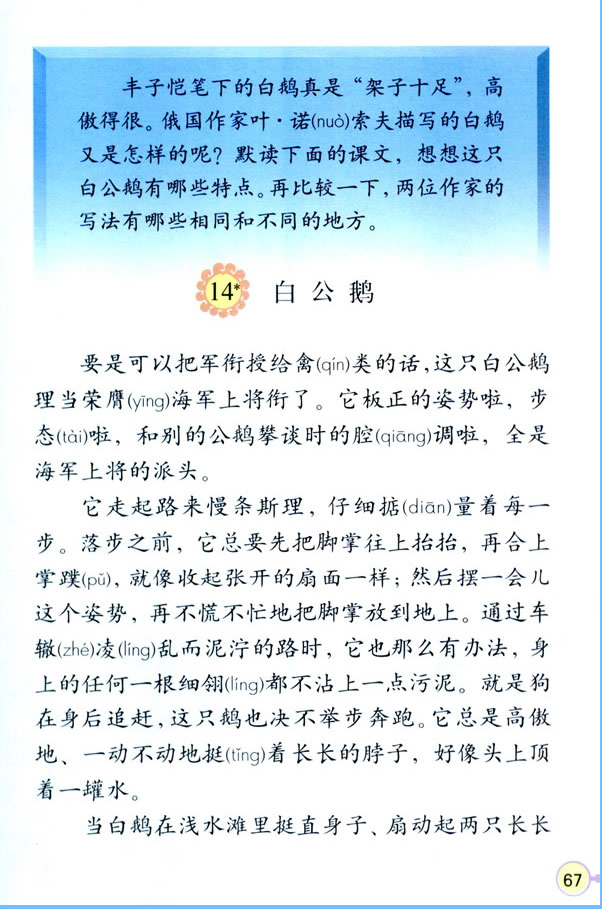 白公鹅课文解析图片