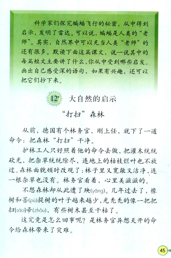 深圳四年级下册语文大自然的启示课文
