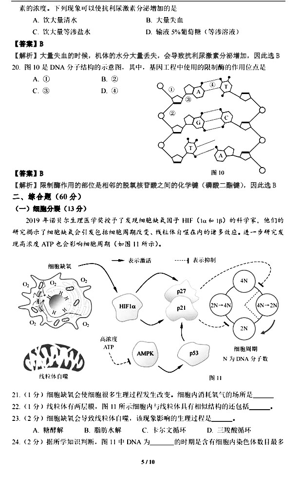 2020Ϻһģ⡢𰸡5ҳ