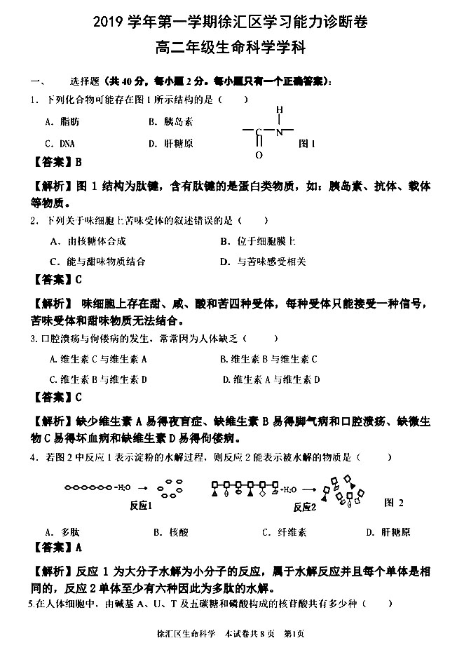 2020Ϻһģ߶ĩ⼰𰸽һҳ