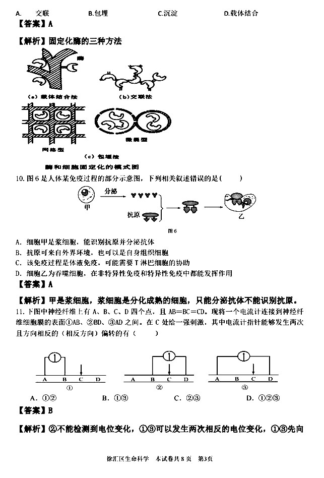 2020Ϻһģ߶ĩ⼰𰸽3ҳ
