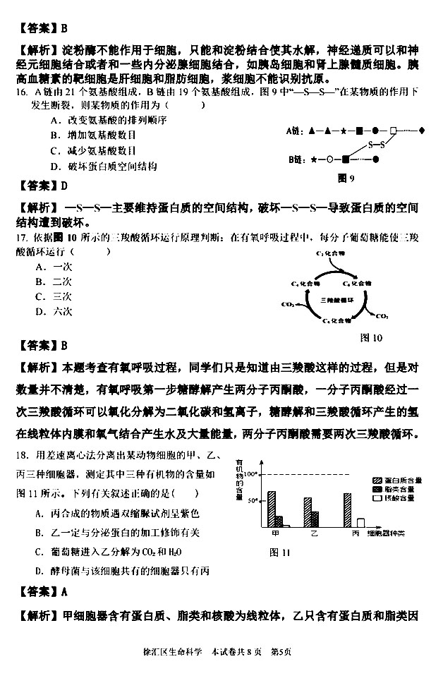 2020Ϻһģ߶ĩ⼰𰸽5ҳ