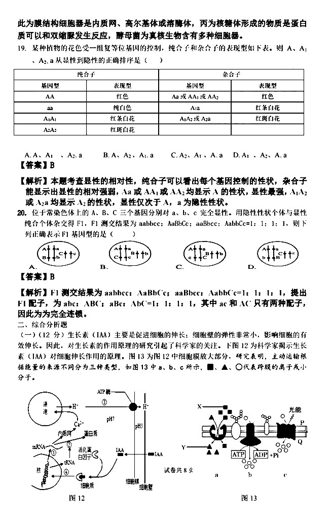 2020Ϻһģ߶ĩ⼰𰸽6ҳ