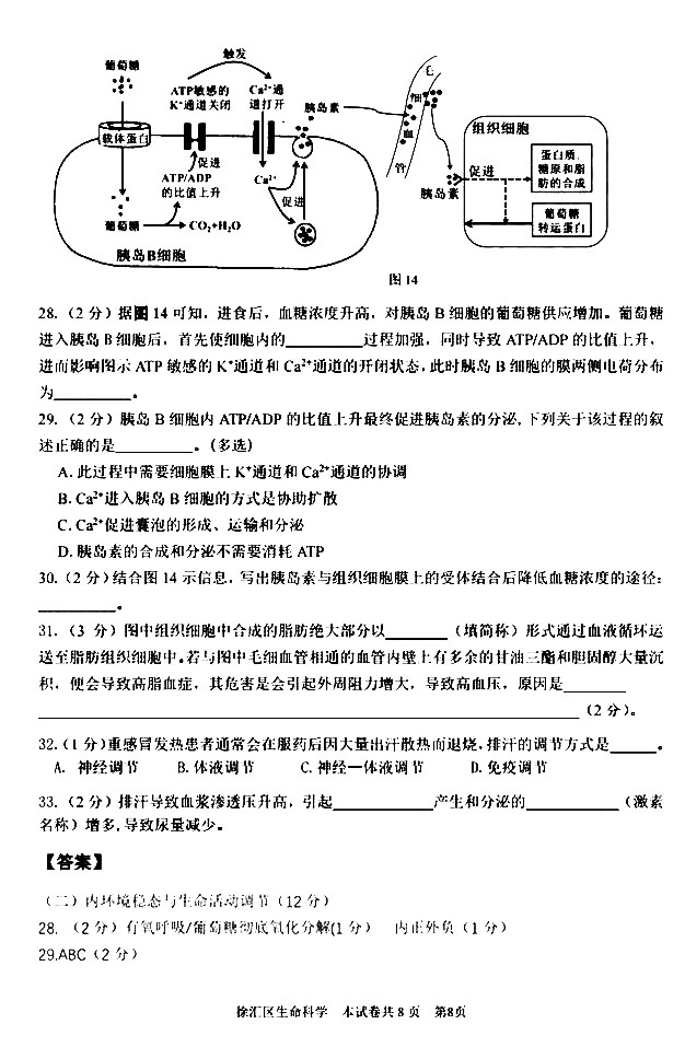 2020Ϻһģ߶ĩ⼰𰸽8ҳ