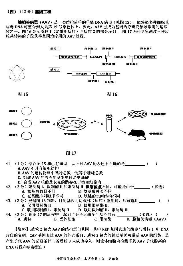 2020Ϻһģ߶ĩ⼰𰸽10ҳ