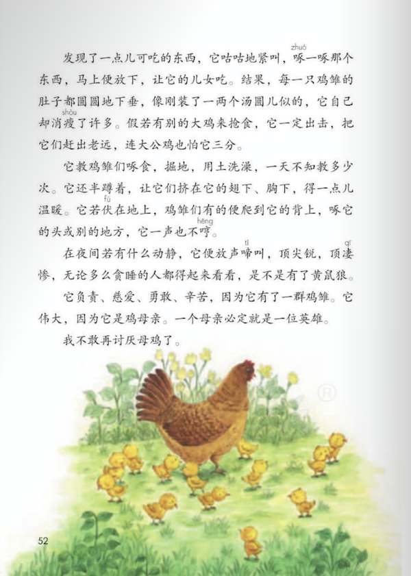 《母鸡》课文原文图片