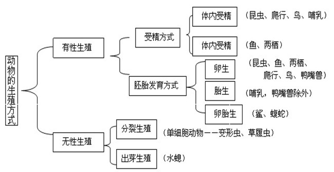初中七下科学第一单元知识整理_杭州学而思1对1