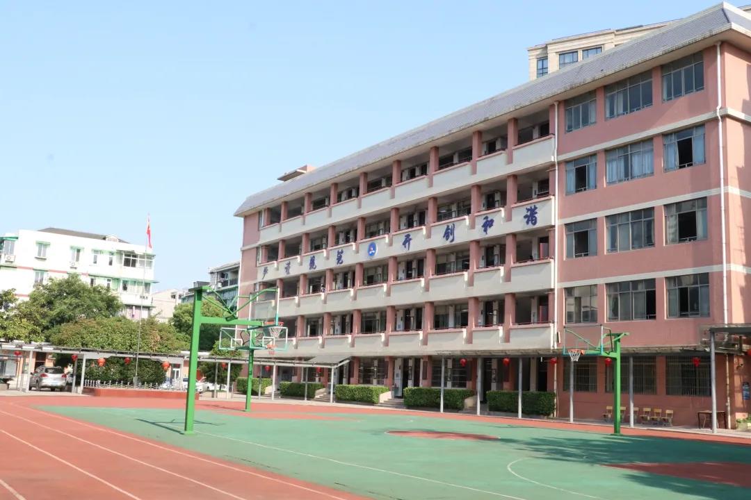 杭州树兰高中图片