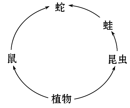 能量提升的方法有哪些 171803_5ed8bc4b05e48.png