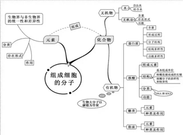 高中生物複習預習知識點思維導圖組成細胞的分子