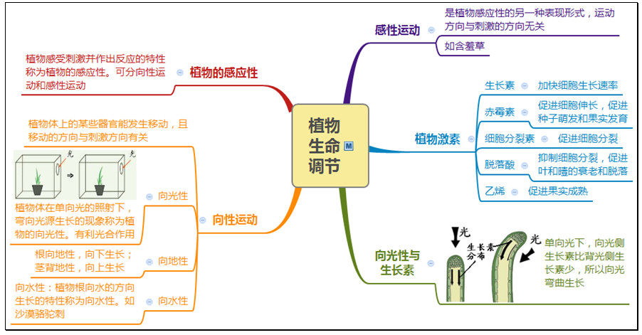 干货|八年级科学思维导图第三章整理