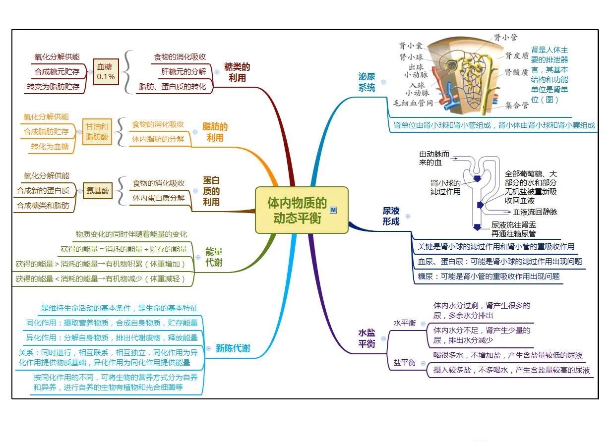 浙教科学九上第1-4 章思维导图(8)