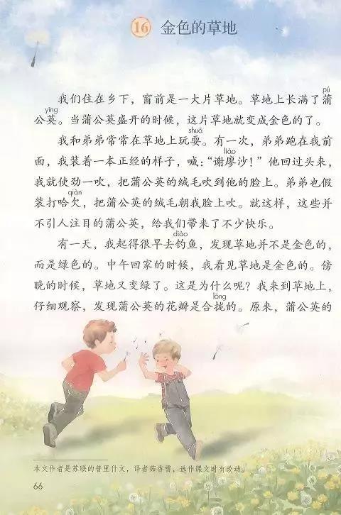 部编版三年级上册第16课金色的草地知识点