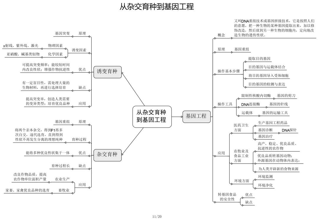 高中生物思维导图