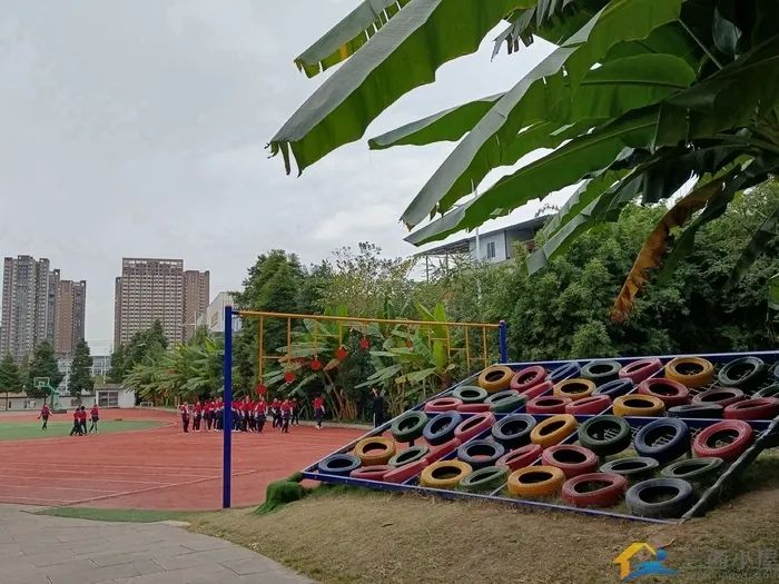 一文详看川大附小东山校区