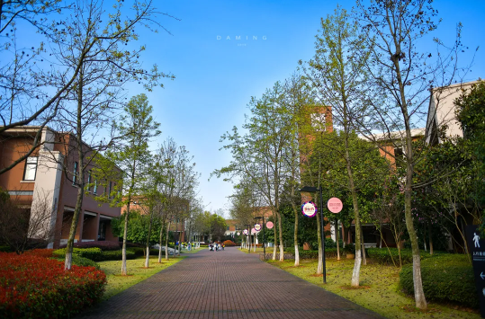 招生信息安吉路良渚实验学校七年级对外另招79人