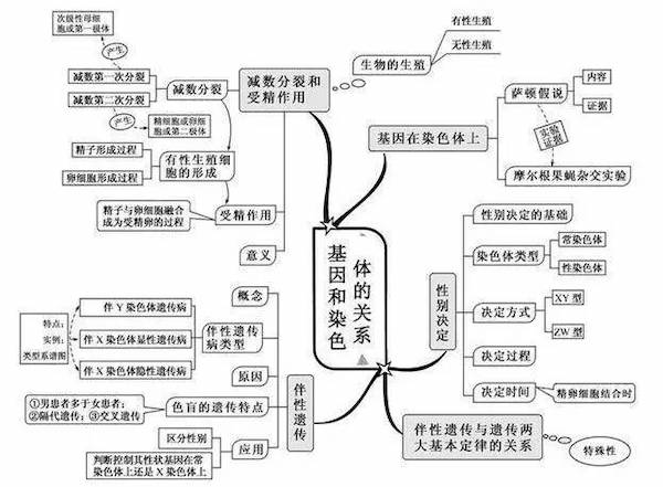 初中生物基因和染色體的關係知識點思維導圖