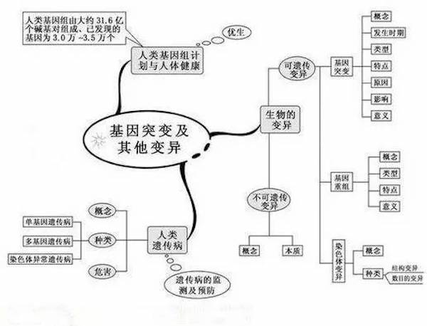 基因突变和其他变异思维导图